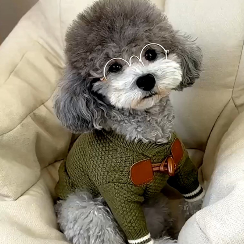 Wintertrui voor honden, trui Whippet, kleding voor kleine en middelgrote honden, winterkleding Whippet, kleine hondentrui, fleece, opstaande kraag, dagelijks gebruik (groot