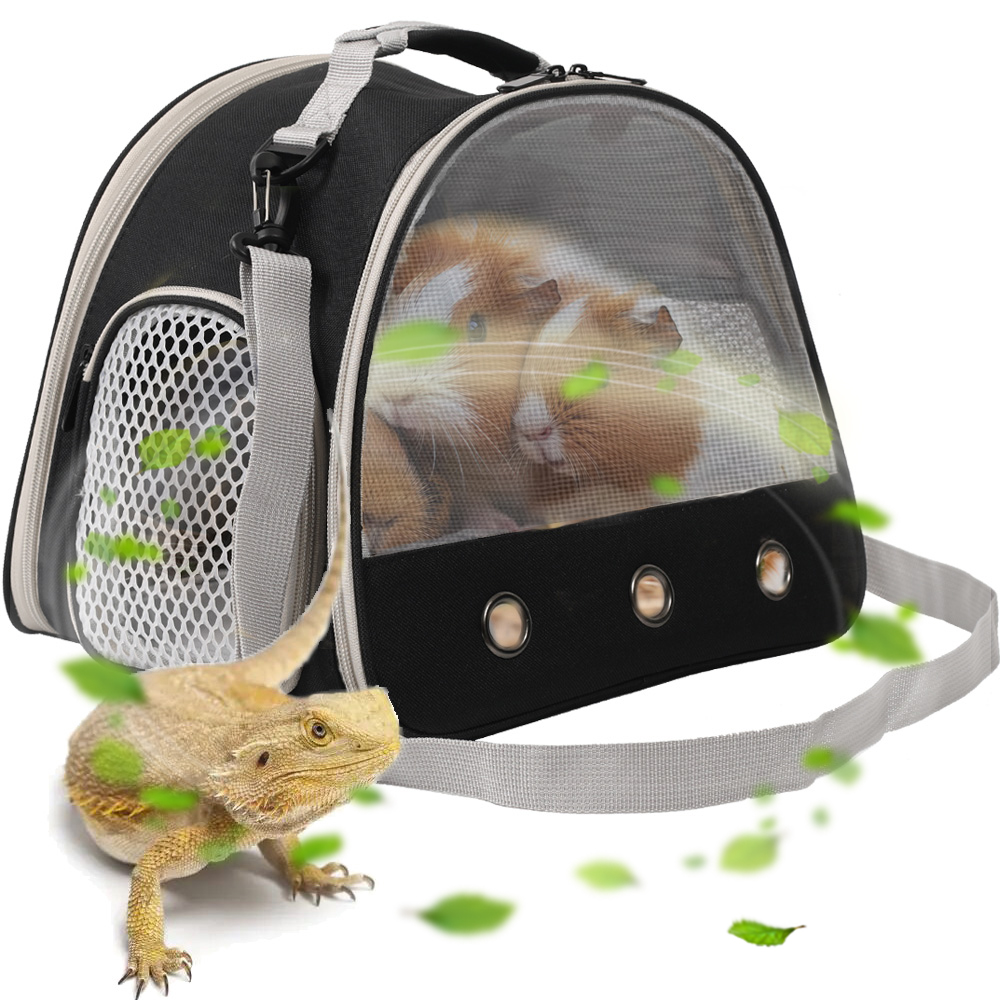 Porte-cochon d'inde Portable clair, Cage de Transport pour Hamster, sac de voyage pour Reptile, petit lapin pour animaux de compagnie, Dragon barbu pour l'extérieur: Black