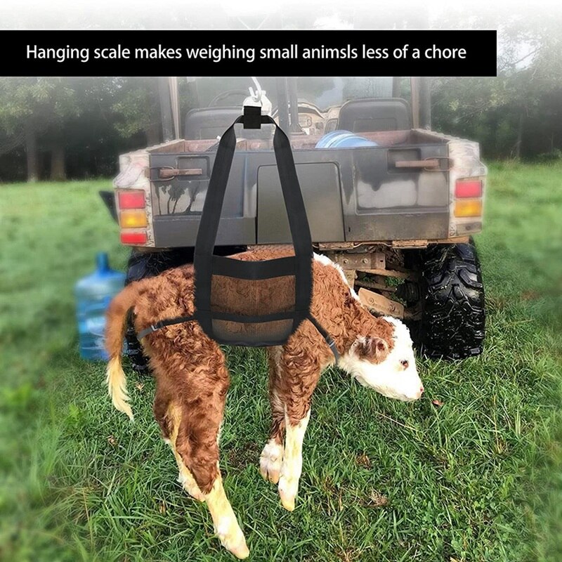 Kalf Sling Voor Wegen Kleine Dieren, Vee Sling, Hangen Schaal, kalf Schaal Opknoping Weegschaal Sling Voor Wegen