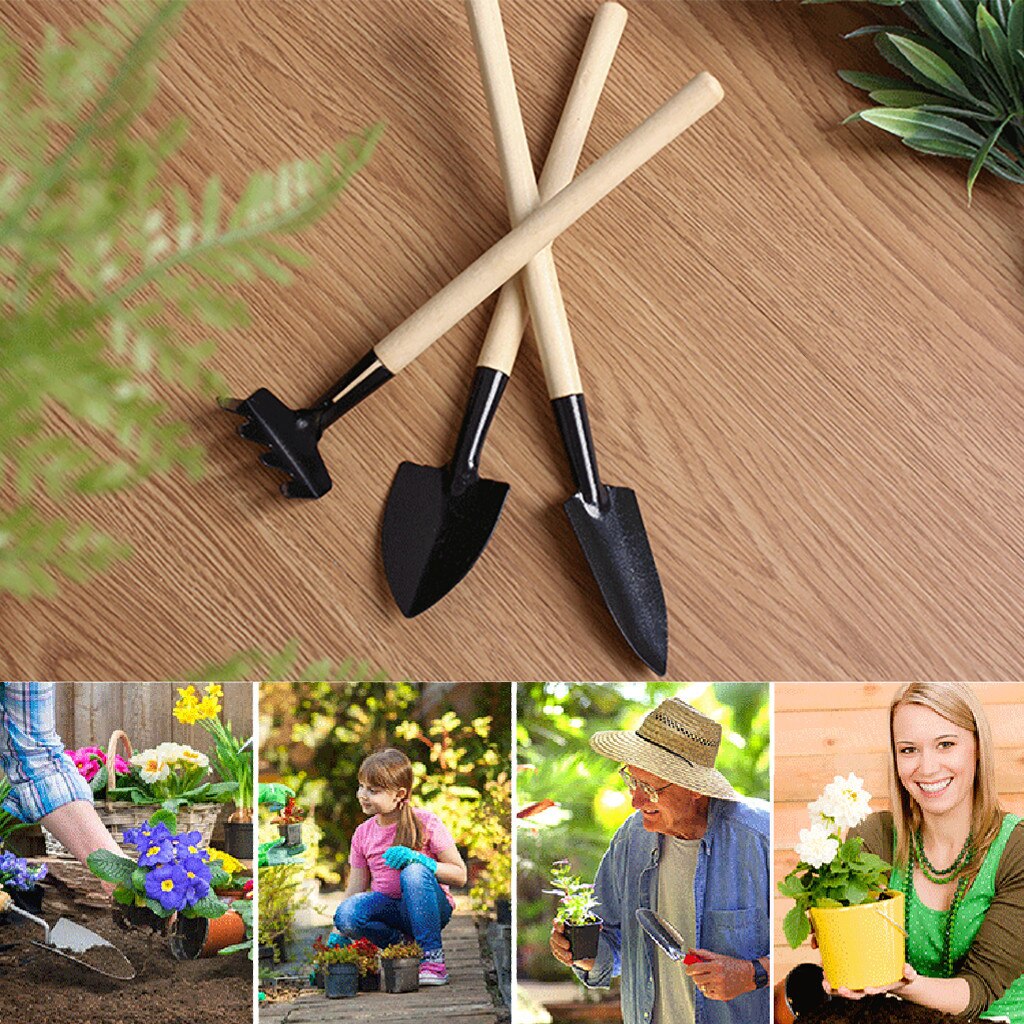 Mini Garden Shovel Trowel 3 Piece Stainless Steel Garden Tool Set Wood Handle Shovel Trowel Gardening Tool Set Combination