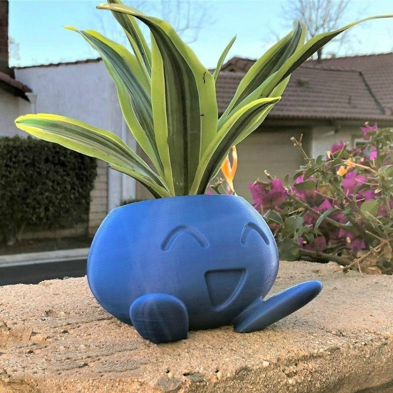 Maceta Oddish, maceta Oddish, maceta suculenta, macetero