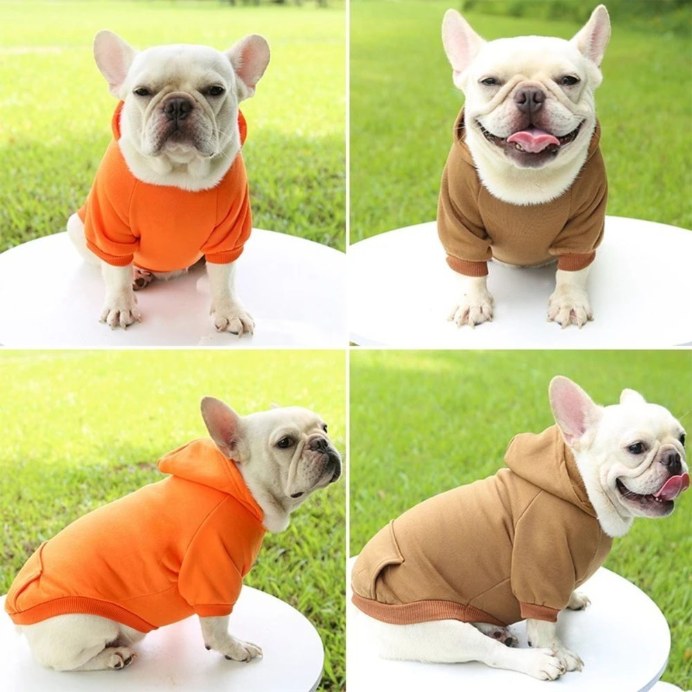 Pet Dog Clothes Small Medium-sized Dog Schnauzer Pure Cotton Hooded Sweatshirt Luxury Clothes Supplier