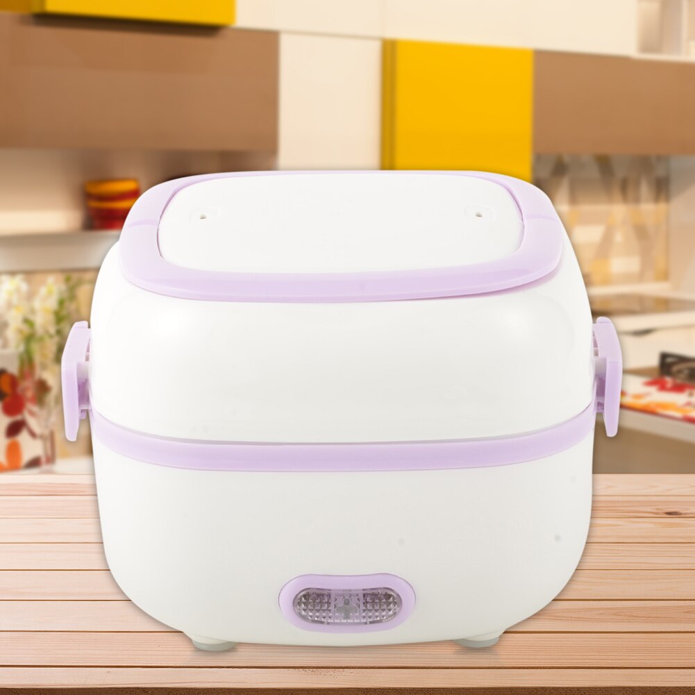 ipower Elektrische Lunchbox 2 in 1 für Auto LKW und Büro 220V 12V