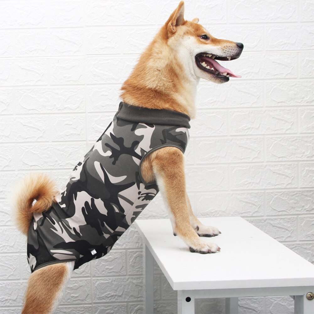 Huisdier Sterilisatie Chirurgie Pak Hond T-shirt Hond Vest Kleding Voor Kleine Honden Franse Bulldog Puppy Kat Pak Kleding: Xxxl / Green