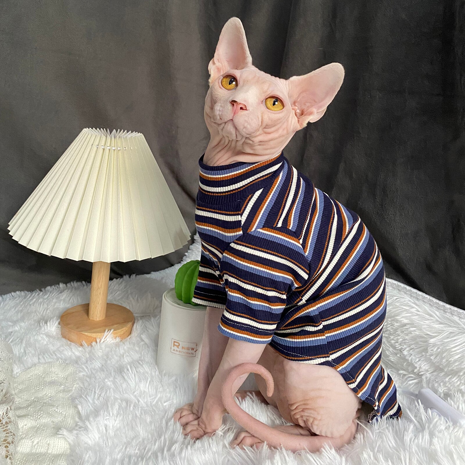 C &amp; C Strips Lente Zomer Sphinx Kleding Huisdier Kleding Katoen Beerus Devin Rex Kostuum Sphynx Shirt Haarloze Kat Kleding outfit