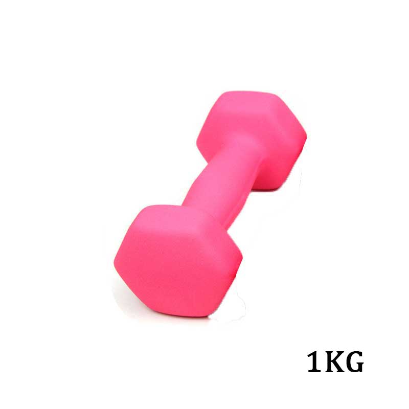 Dumbbells Set - 1kg Paar - Spuitverf Afwerking - Home Fitness Gewichtheffen: Roze 1kg