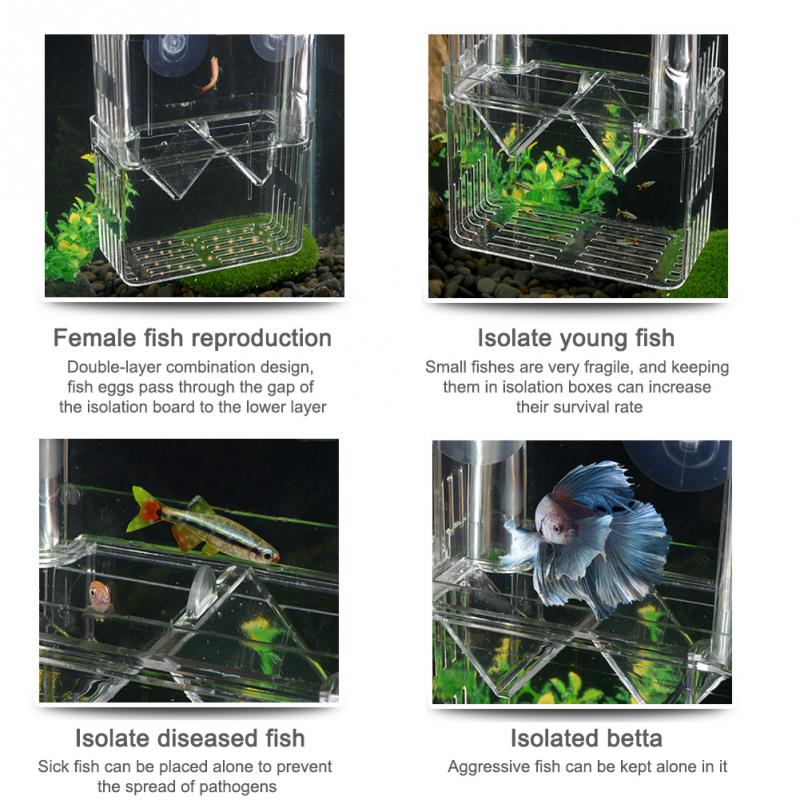Fish Breeding Box With Suction Cups Transparent Hatchery Aquarium Tank Isolation ABS Material Self-floating Desi Safe And Secure