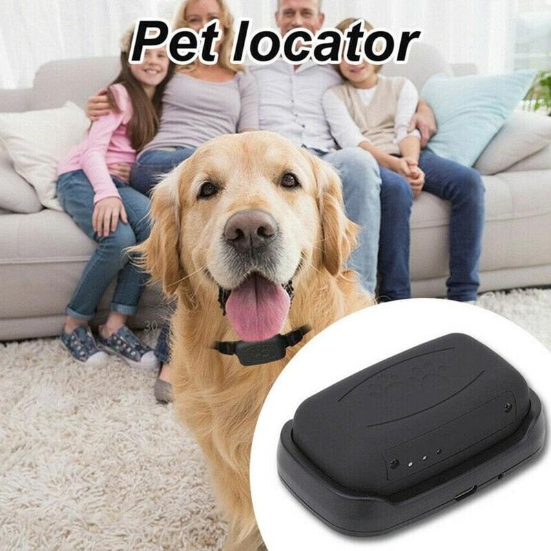 Localizzatore GPS AGPS LBS Wifi mini luce in tempo reale GPS canna IP67 inseguitore gatti localizzatore di localizzatori per animali domestici impermeabile per animali domestici tracciamento S6N3
