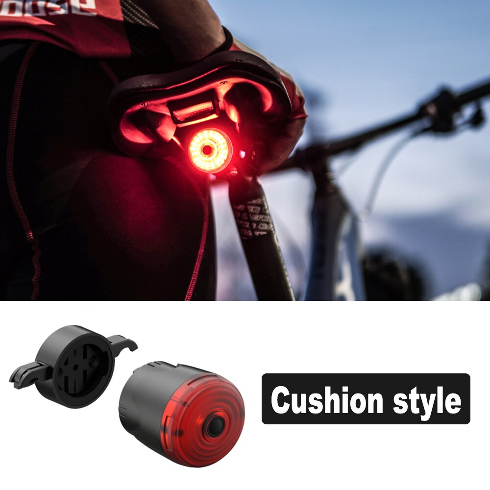 Smart Sensing Fahrrad Licht Lampe Wasserdichte LED Lade Sicherheit Warnung Radfahren Rücklicht Mountainbike Hinten Licht Zubehör: Style 1