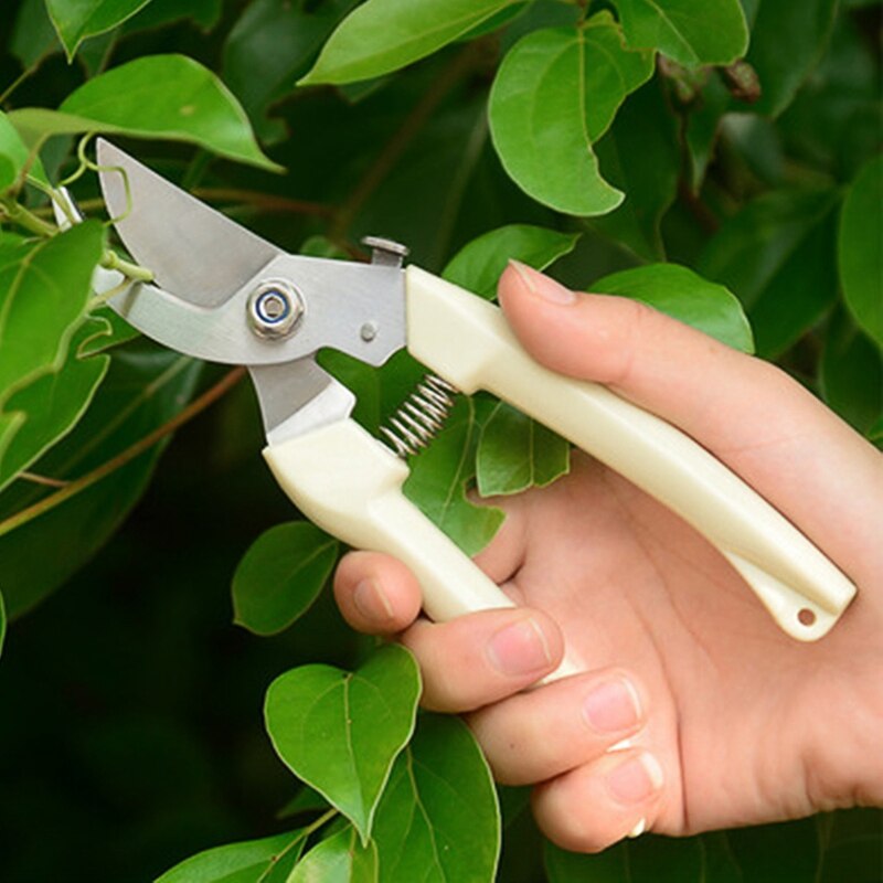 Bonsai Cutting Scissors Pruners Garden Flower Cutter Tools Plant Trimmer Branch Secateurs Gardening