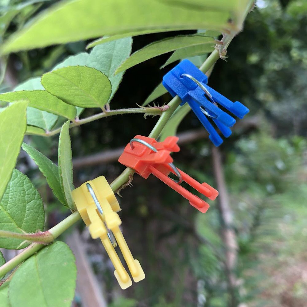 Lychee 100pcs Garden Vegetable Flower Tomato Vine Bushes Plants Durable Plastic Grafting Clips