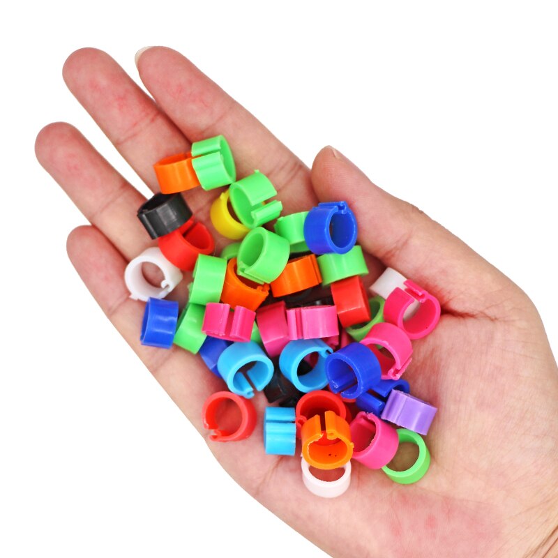 Anillos de plástico para pies de palomas y codorniz, suministros para aves pequeñas, 10 colores, piezas, 100