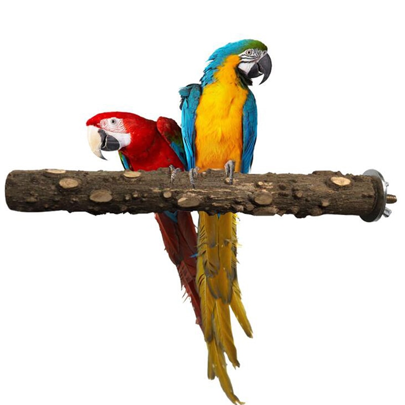 Oiseau griffe bec barre de meulage bâton debout perroquet Station pôle oiseau fournitures perroquet support griffes Cage accessoires 10cm