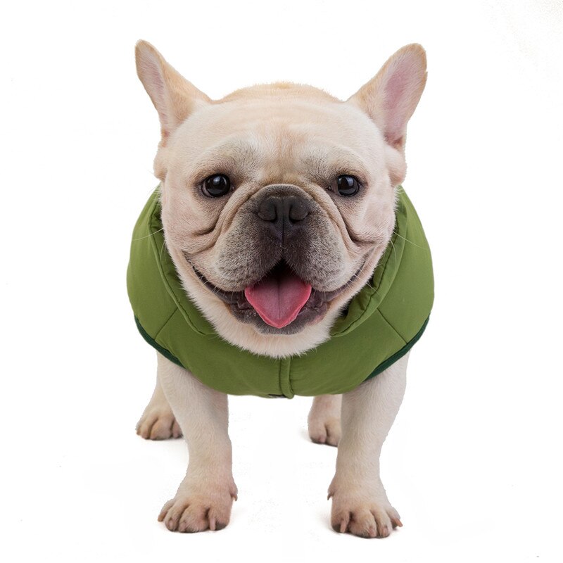 Liten hund dunväst husdjursparkas vinter bomullsvadderad jacka varm valpkläder kappa för medium hund yorkshire bulldog(s/m/l)