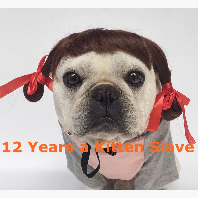 Pet Wig, French Bulldog Funny Wig Dog Wig