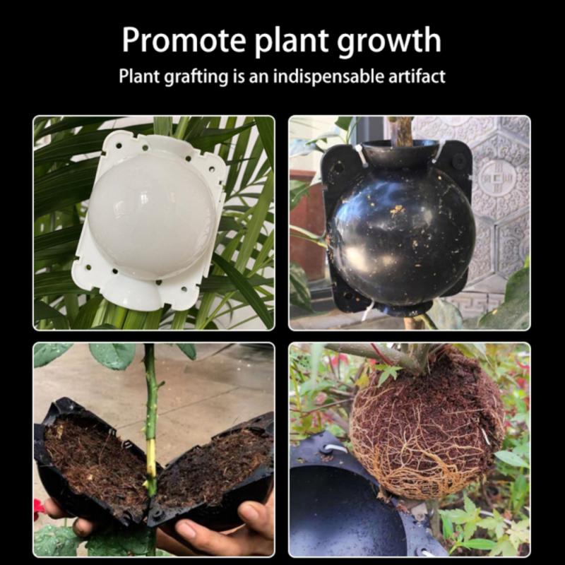 Sprzęt robić ukorzeniania roślin wysokociśnieniowa propagacja roślin piłka owocowa drzewo rosnące pudełko skrzynia hodowlana robić ogrodowego pudełka przeszczepu drzewko