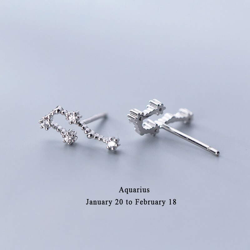 925 Sterling Silver AAA Cublic Zirconia Scorpio Taurus Twelve Constellation Zodiac Sign Stud Earrings Ear Piercing Jewelry: Aquarius