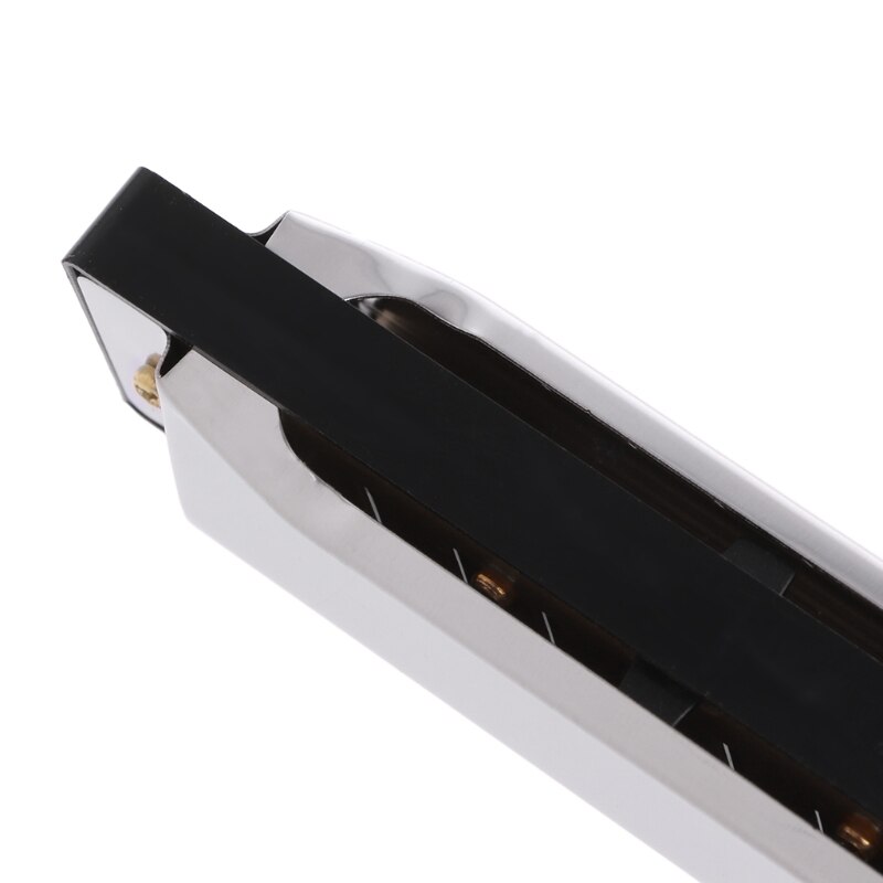 10 Holes Blues Harmonica Key of C Musical Instrument Stainless Steel Mouth Organ for Blues Rock Country Folk Jazz Melodica