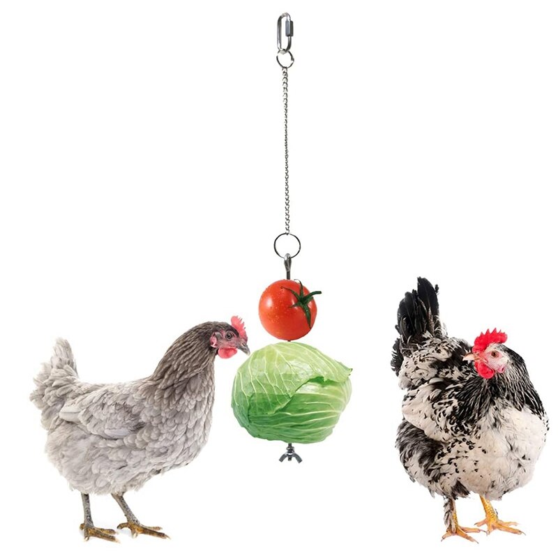 willekeurig Consumeren kleding stof Praktische Kip Groenten Spies Fruit Houder Voor Kippen Huisdier Kip Groente  Opknoping Feeder Speelgoed Voor Kippen Grote Vogels-Zilver – Grandado