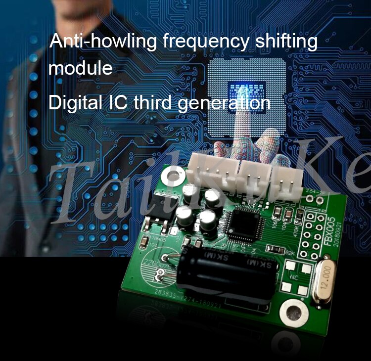 Anti-scream Feedback Frequency Shift Flying Mail Resistor Digital Module