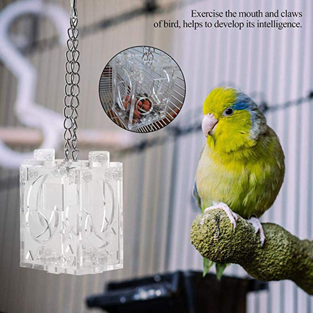 1Pc Parrot Foraging Box Portable Transparent Parrot Feeder Funny Pet Bird Educational Toys