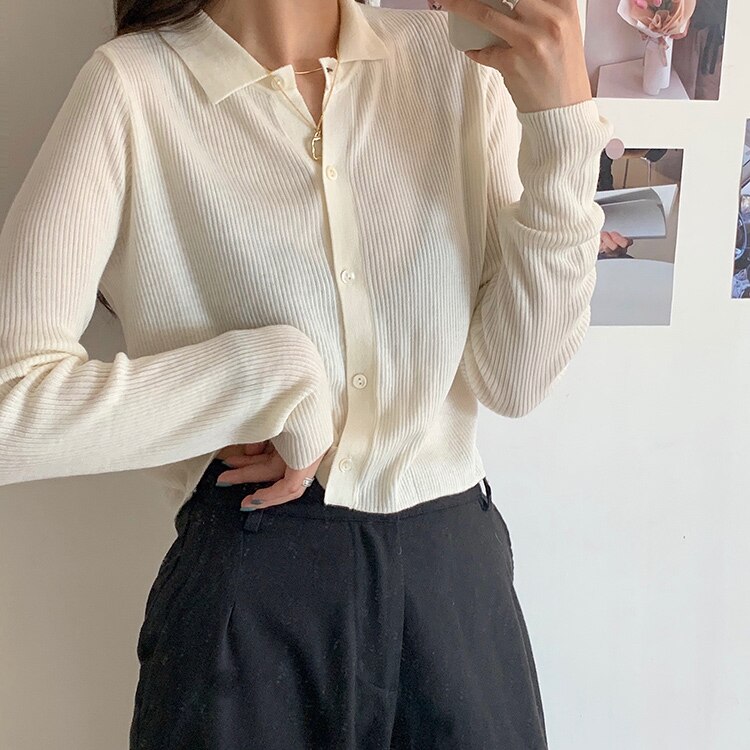 Polo col Cardigan veste femmes tricoté printemps coréen tricot Cardigans culture tricoté doux pull pour les femmes: beige