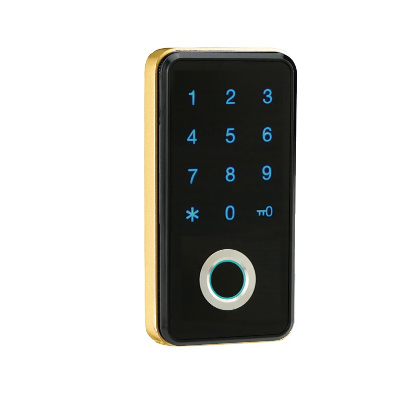 118 serier fingeravtryck lösenord em id skåp lås bastu spa skåp fabrik garderob bokhylla skåp lås rfid knappsats touch: Fingeravtryck guld