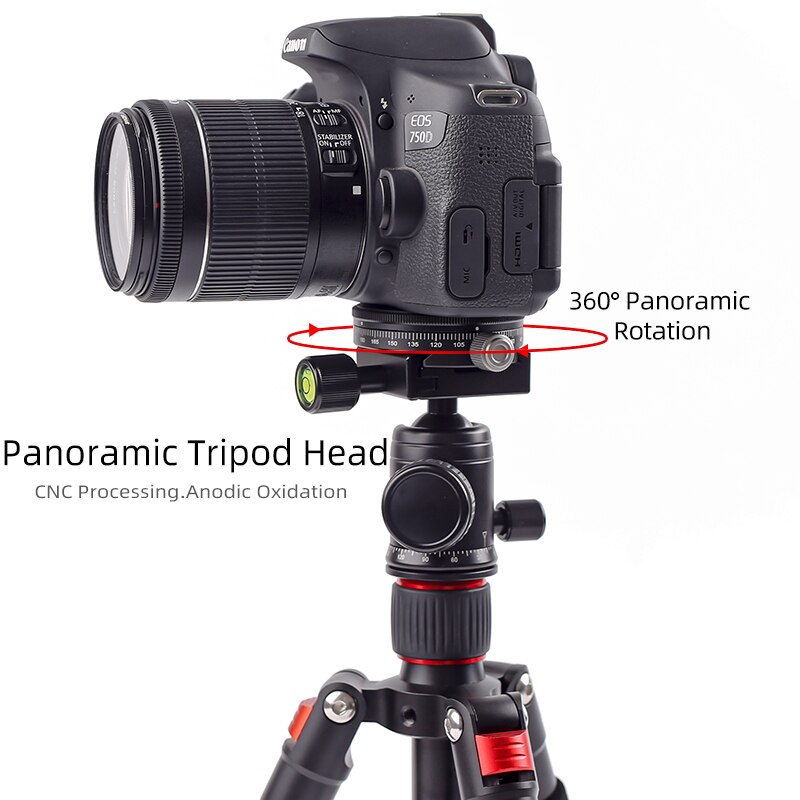 XILETU TPC-60 Tripod Head ACRA SWISS Panoramic Tripod Head Video 360 Camera MiNi Tripod Head For Camera DSLR Alluminum