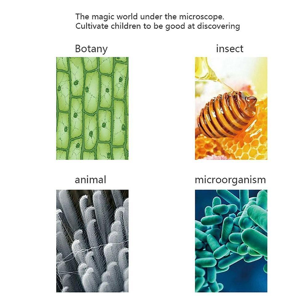 Children's Microscope Science Kit Plastic Beginner Kit 400X 100X Children's Science 1200X Magnification LED Toys Microscope E5B4