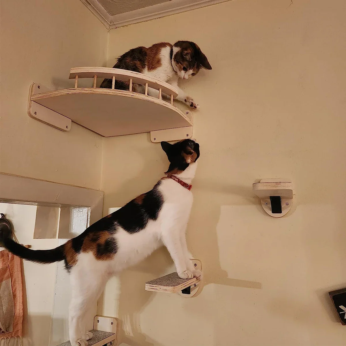 Estantes para gatos montados en la pared, estante de madera para escalar con apariencia de gato, muebles de árbol trepador de pared para gatitos, escalera de cuatro escalones, hamaca interior para gatos
