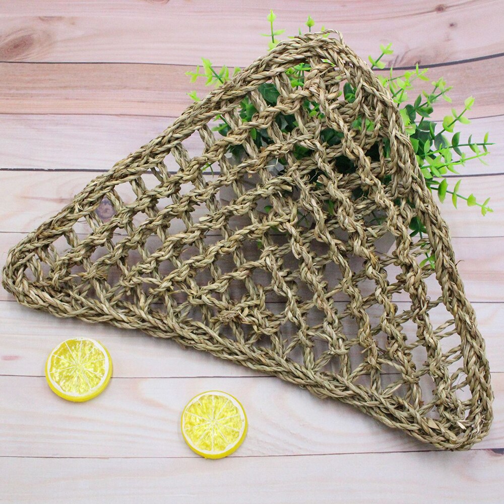 Reptile Platform Hammock Lizard Lounger Hammocks Geckos Hanging Net Tank Decor