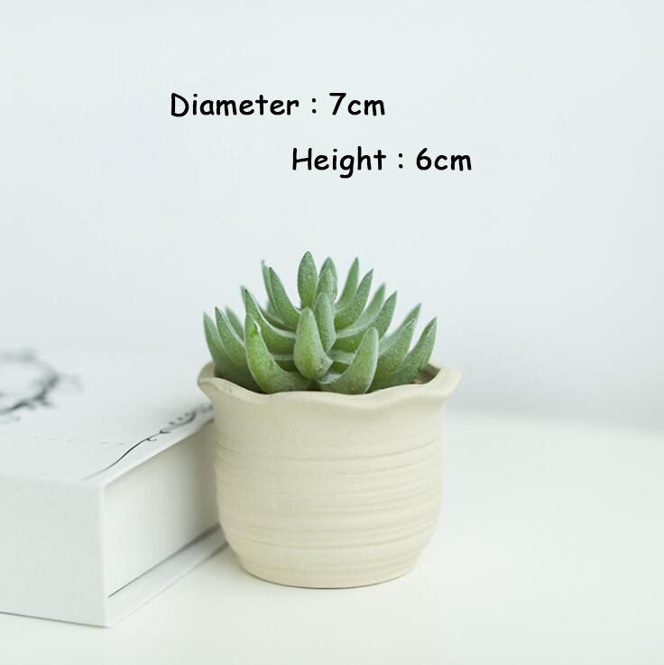Macetas pequeñas de escritorio para hogar y oficina, maceta redonda gris para plantas, Mini soportes de cerámica para plantas, suculento de Cactus, macetas de flores: 4