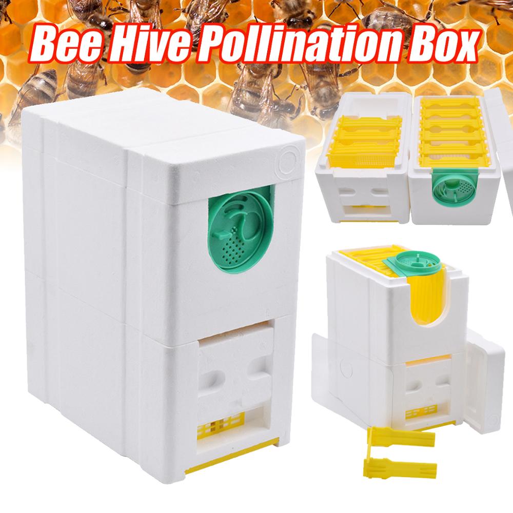 Caja de cría de abejas automática, suministros de espuma de colmena, herramienta de doble capa