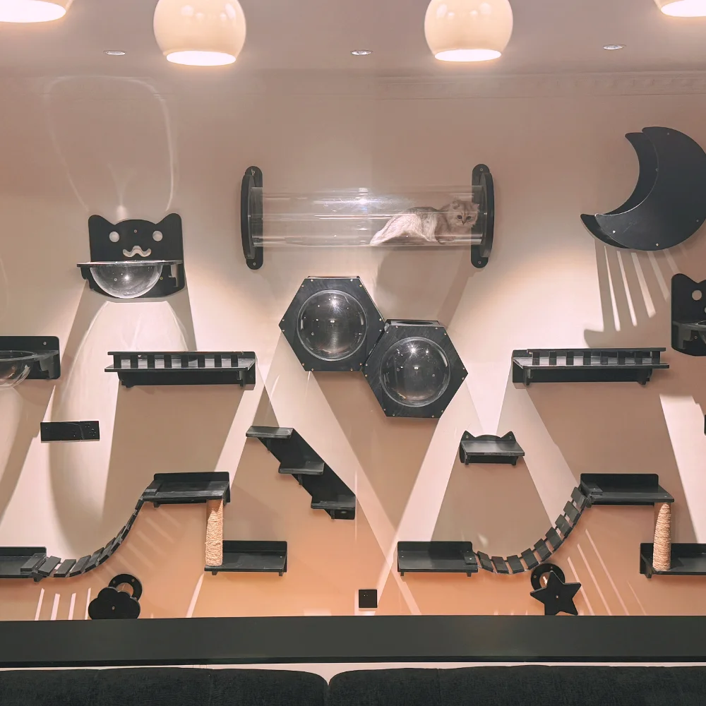 Wall-Mounted Cat Climbing Frame Wooden Cat Tree Cats Hammock Scratching Post Pedal Jumping Platform Indoor Pet Wall Furniture