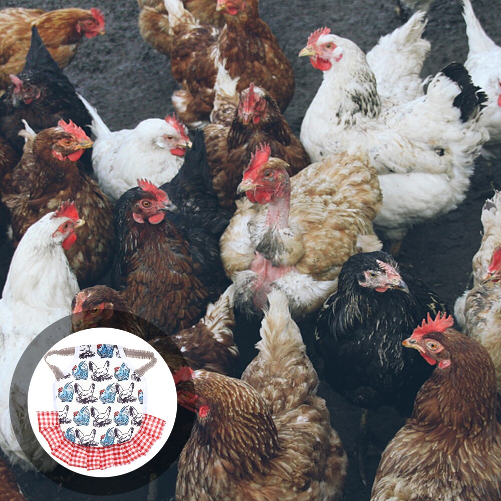 Fixateur de Protection des plumes d'animaux de compagnie, soin de la volaille, Protection de l'aile arrière, tablier pour poule