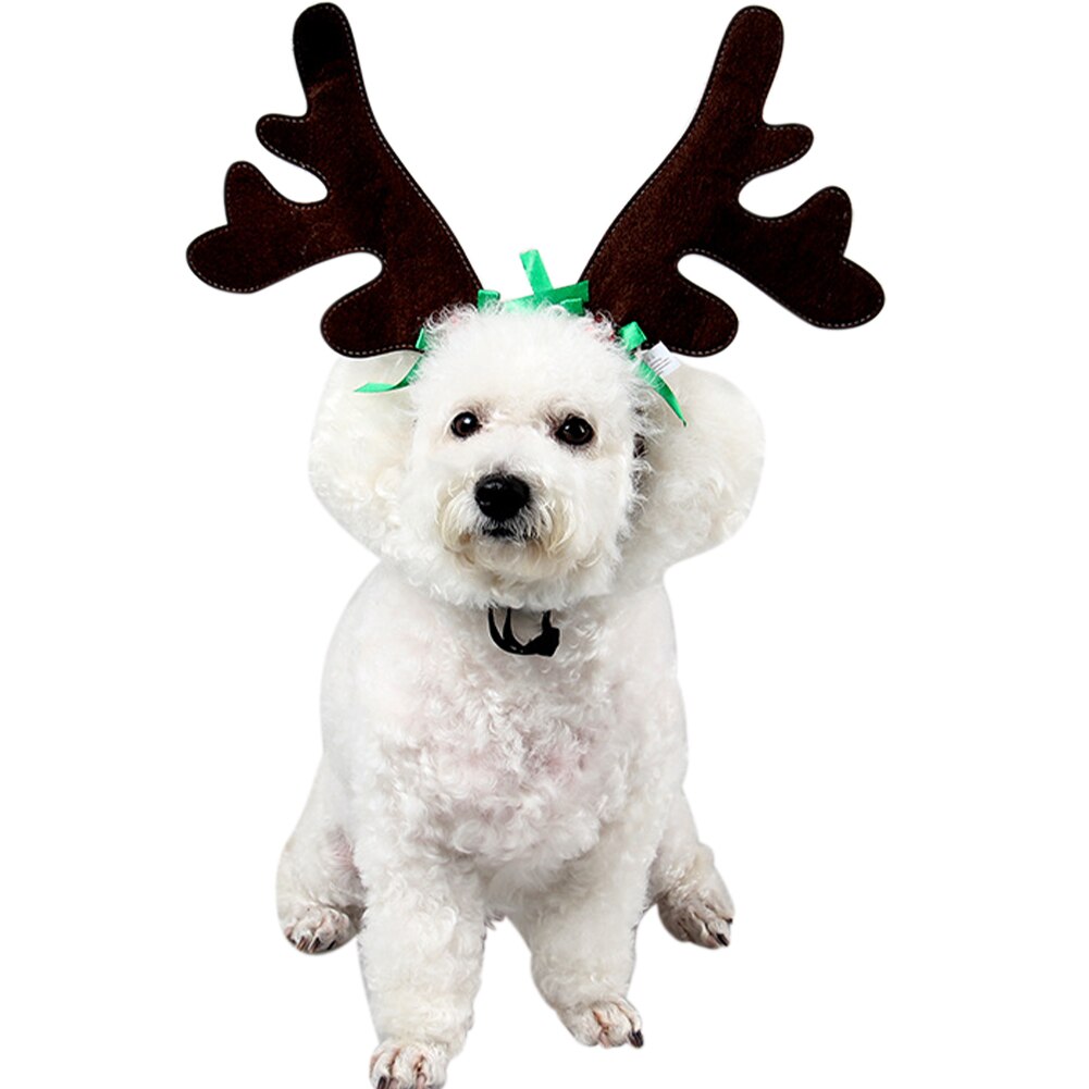 Elg rensdyr gevir kæledyr leverer kort plys hovedbeklædning udendørs katte fest justerbar hund pandebånd jul kostume elastisk: 2