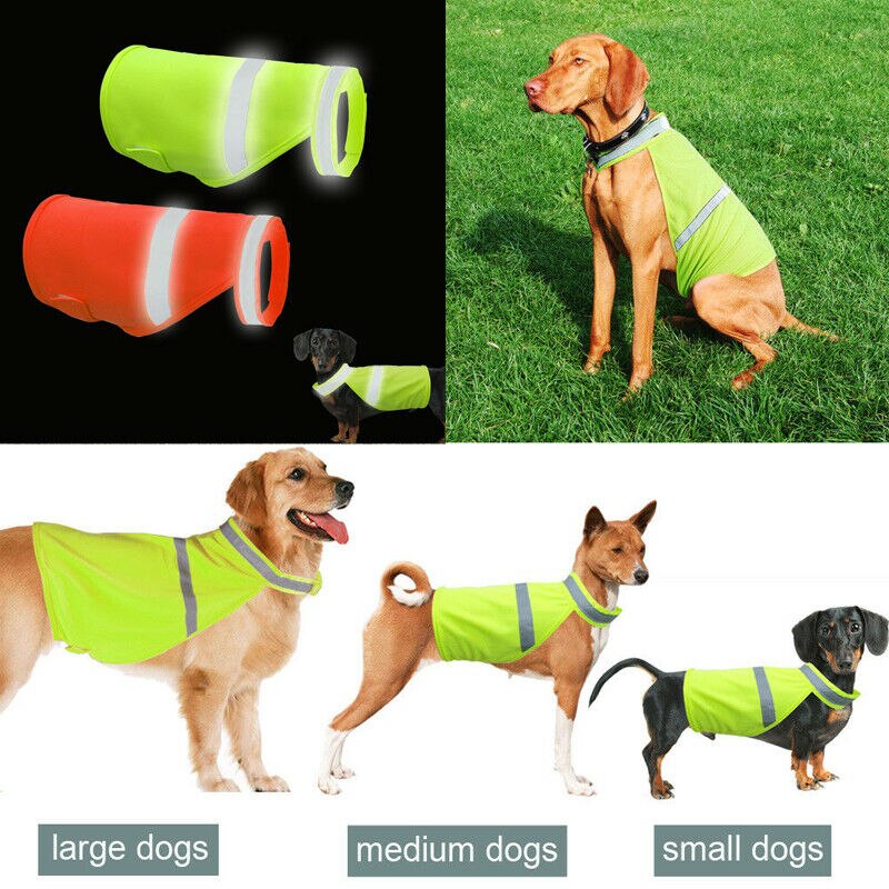 Chaleco reflectante para perros ropa de alta visibilidad pequeños perros grandes chalecos de seguridad arnés para senderismo al aire libre con garra