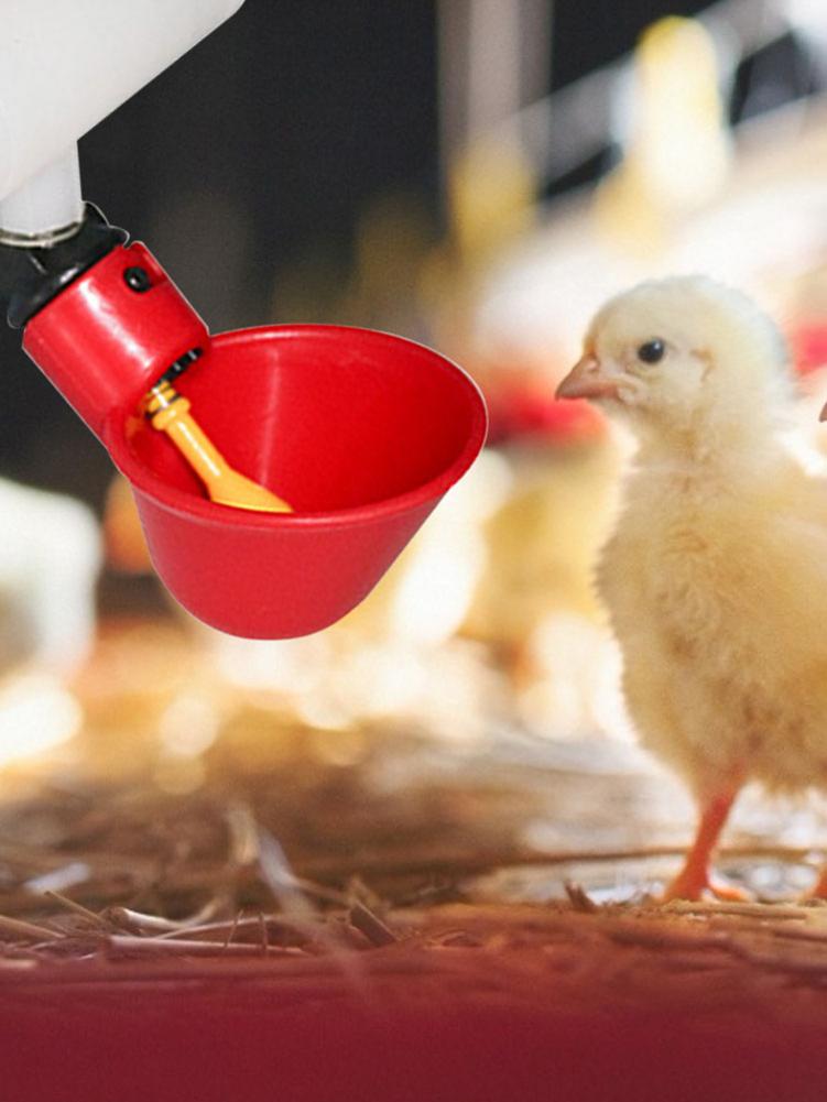5 stuks automatische plastic drinkbekers voor kippen, drinkbak voor pluimvee, waterdrinkbak voor vogels, kwartels, duiven en kippen