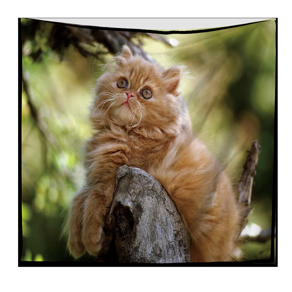 Nordic Natural View Tapestry Persian Cat Pattern Living Room Bedroom Home Decor Dirt-resistant Wall Hanging Chic Ornaments: 200X150cm / TP1054-4