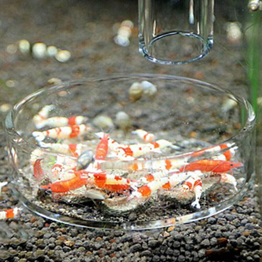 Ensfarvet akvarium akryl rejer fodring mad skål skål foder beholder bakke akvarie foder bakke forsyninger