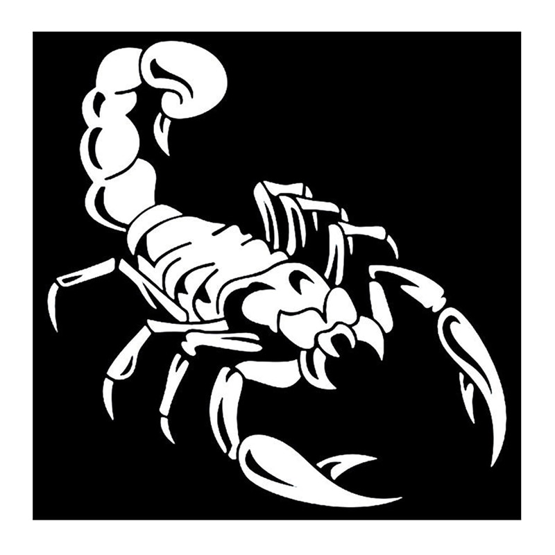 Auto Decoratie 3D Scorpion Decal Sticker Cool Vinyl Sticker, Wit 40Cm: Default Title