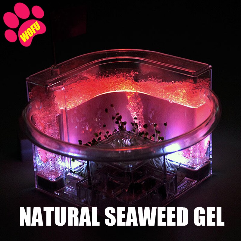 WOFUWOFU Lnsect Hotel，Ant Farm，Ant Glow Ocean View Villa Big Ants House Ant Nest Villa Insect Pet Anthill: red with light