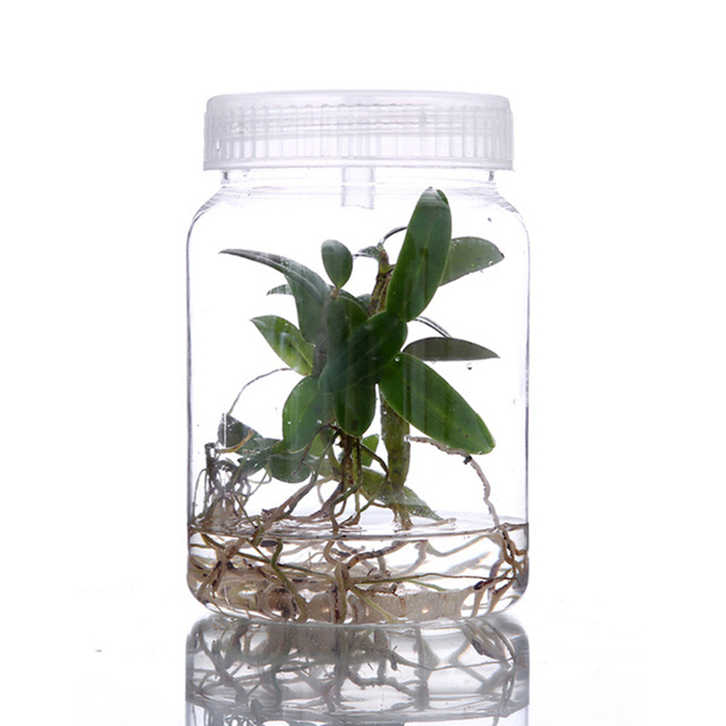 1pc 270 350mL 500mL Plants Plastic Jars For Bottle Seedling Tissue Culture Seedling High Temperature Resistance No Deformation