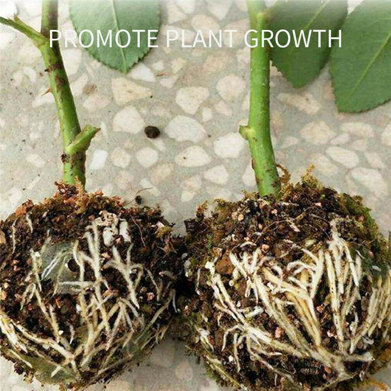 Dispositivo de enraizamiento de plantas, Bola de propagación de alta presión, caja de alta presión para injertos, Caja de cultivo de enraizamiento, tapas de bandejas de vivero