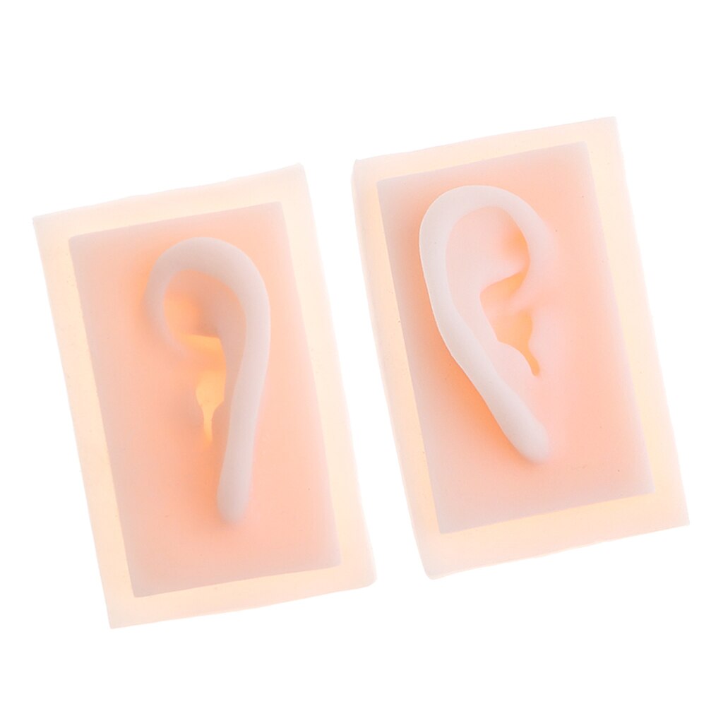 1 Pair LIfesize Human Left & Right Ear Model Acupu... – Grandado