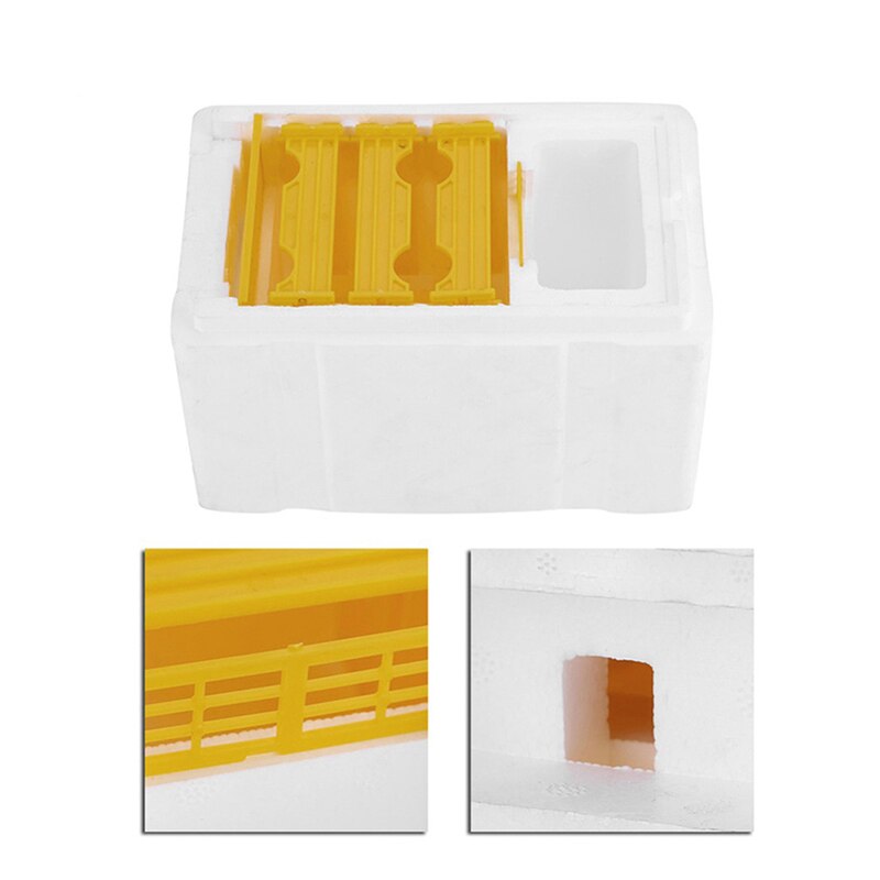 Beehive Beekeeping King Box Pollination Box Foam Frames Beekeeping Tool Kit