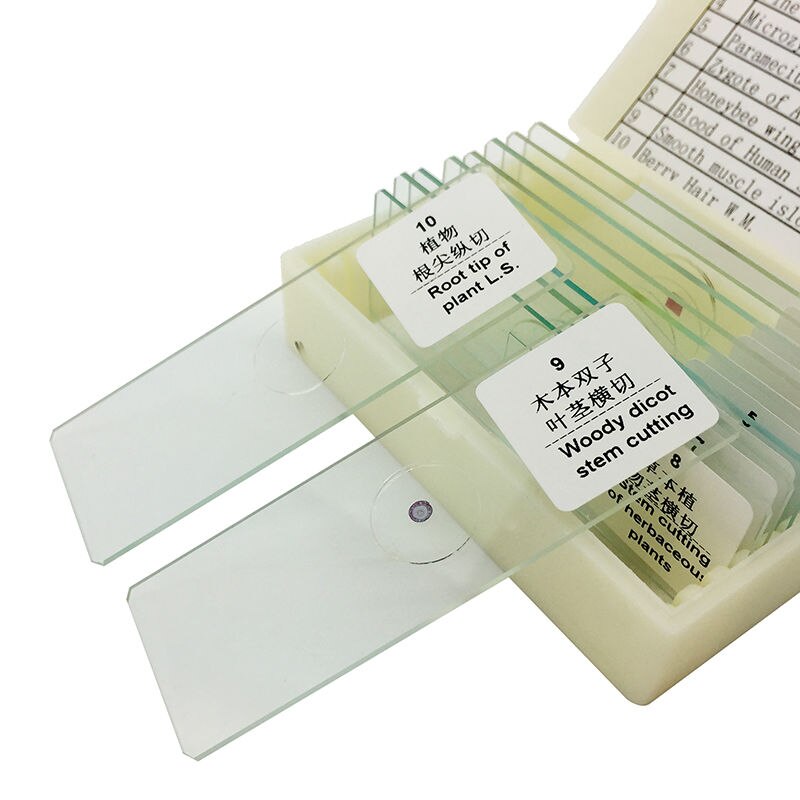 10PCS Prepared Glass Microscope Slides Biological Specimen for Biological Microscope Science Education Teaching