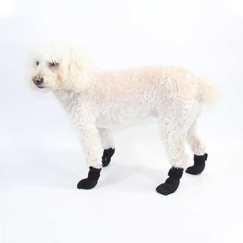 Kat Anti-kras Voetovertrek Mute Zacht Neem een douche Medicatie Voeden om een injectie te maken Hondenschoen Warm houden Dierbenodigdheden