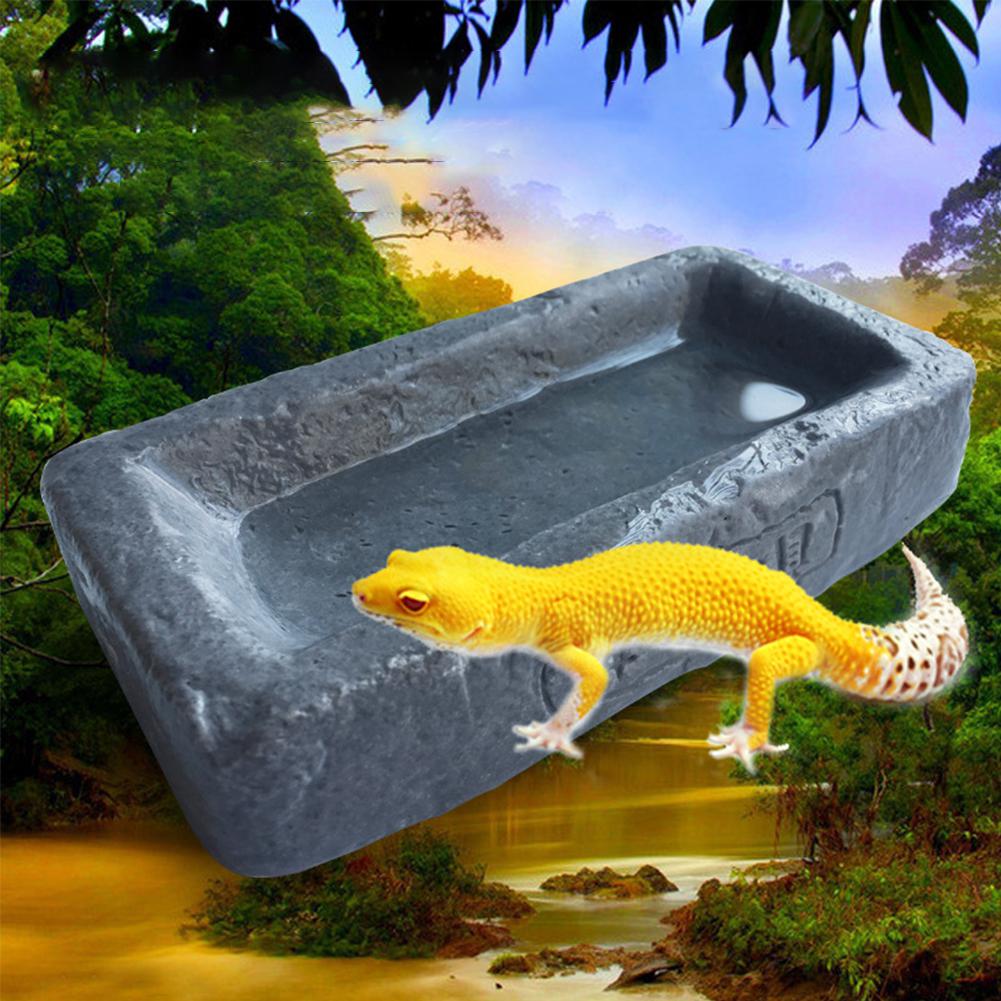 Asypets tunga harts mat vatten spår halkskydd behållare dispenser för hundar katter reptiler,