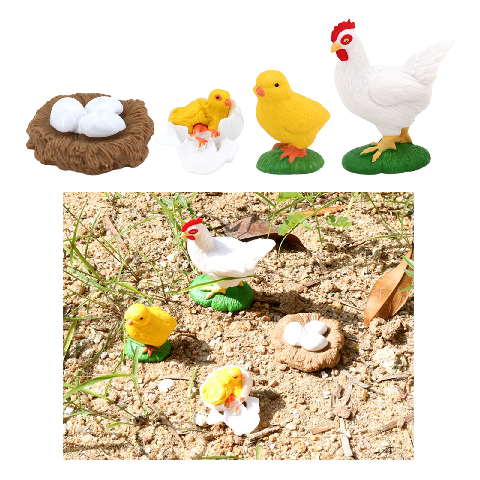 Insect Hen Chick Lore Animal Life Cycle - 4 Pcs Insect Figure Shows Life of Lady Bug